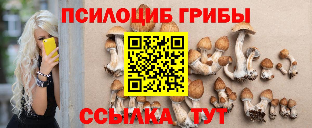 Дубна  Галлюциногенные грибы ЛСД  Вход с VPN 