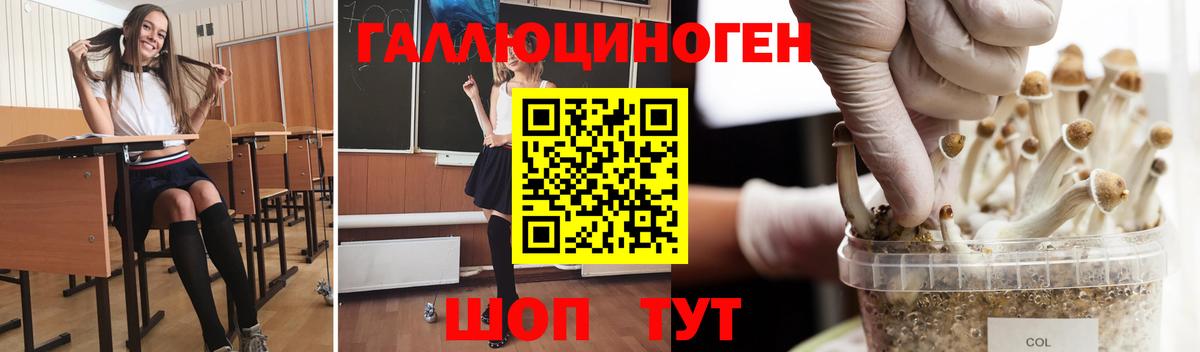 Псилоцибиновые грибы Magic Shrooms Дубна